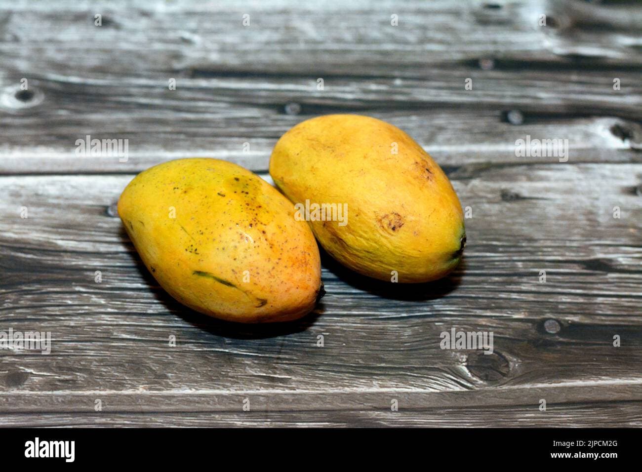 المانجو مصغرة 2