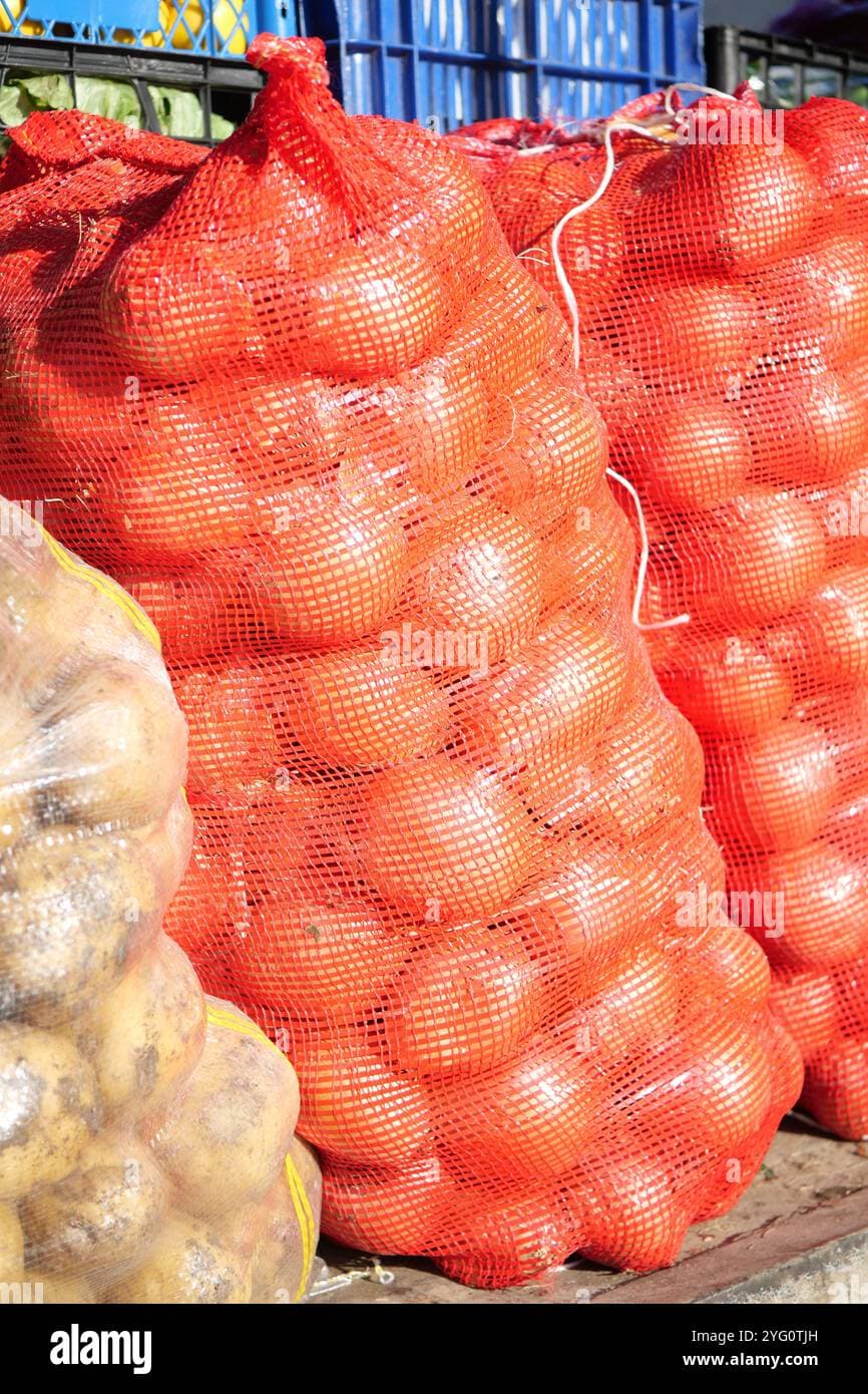 البصل والثوم مصغرة 2