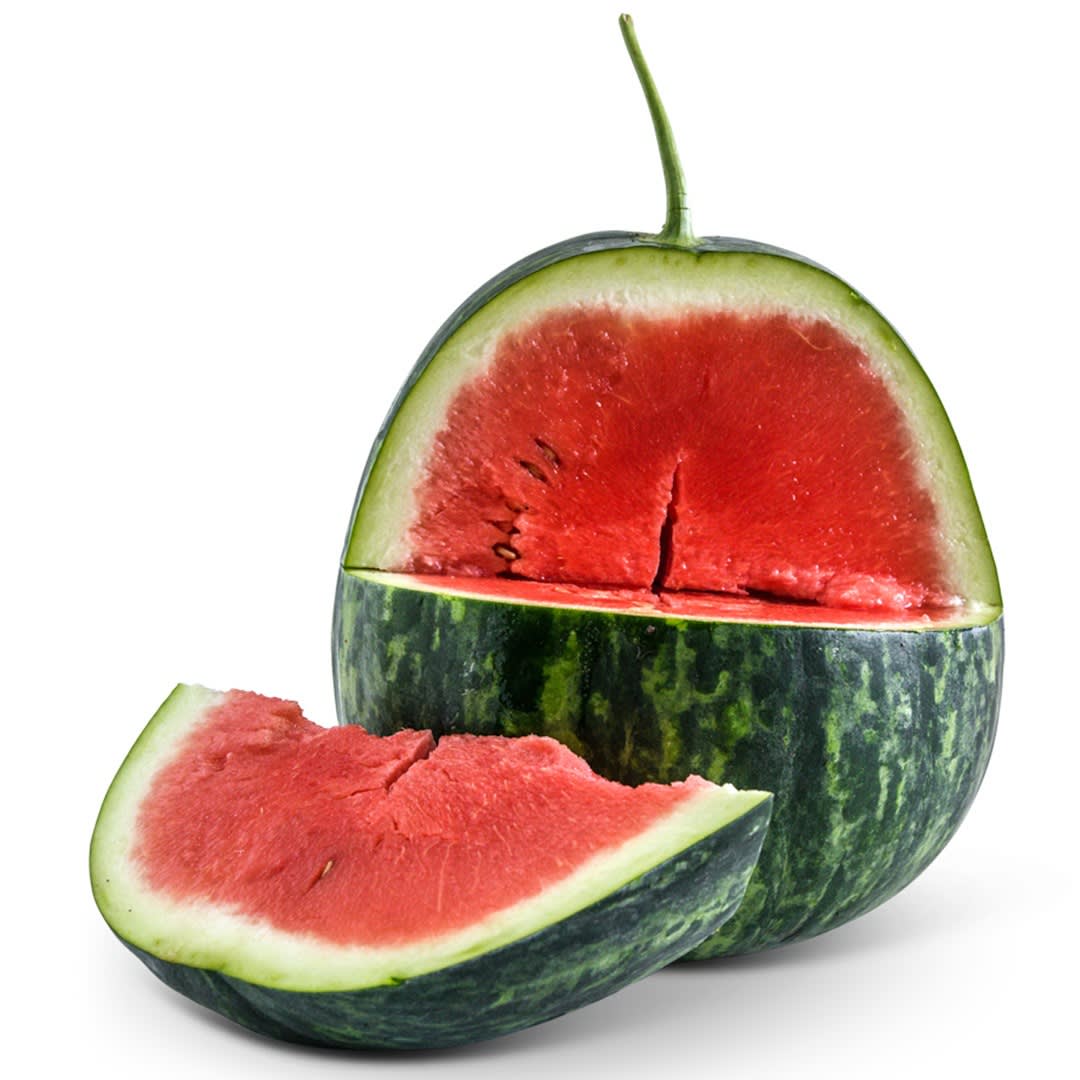 البطيخ